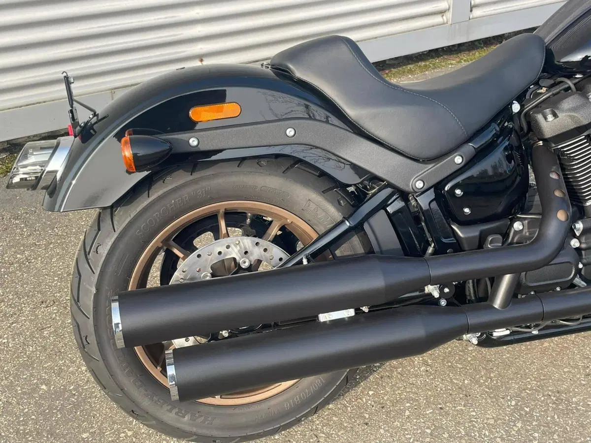 Harley-Davidson Low Rider S (2022 - 24) (5)
