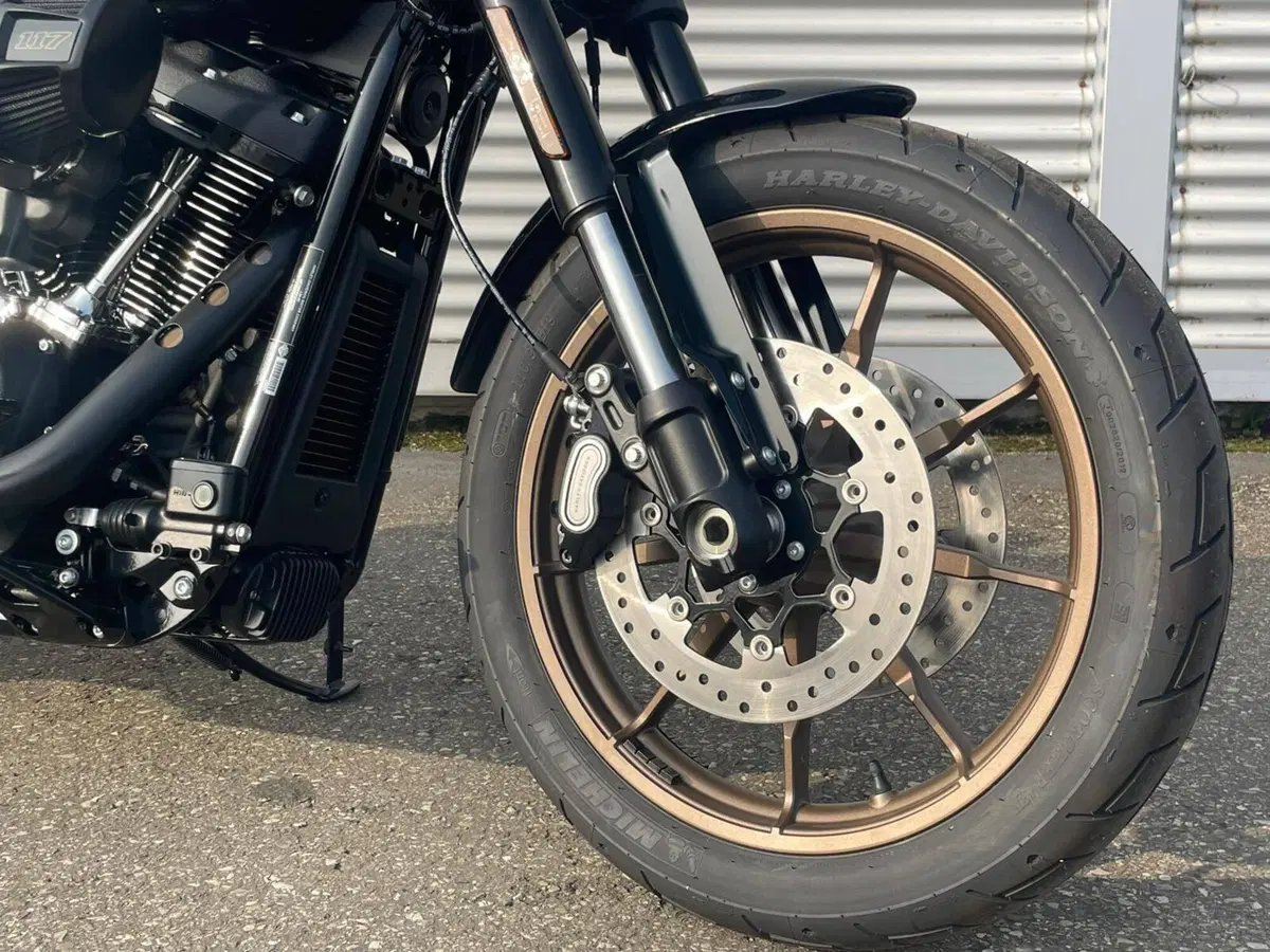 Harley-Davidson Low Rider S (2022 - 24) (8)
