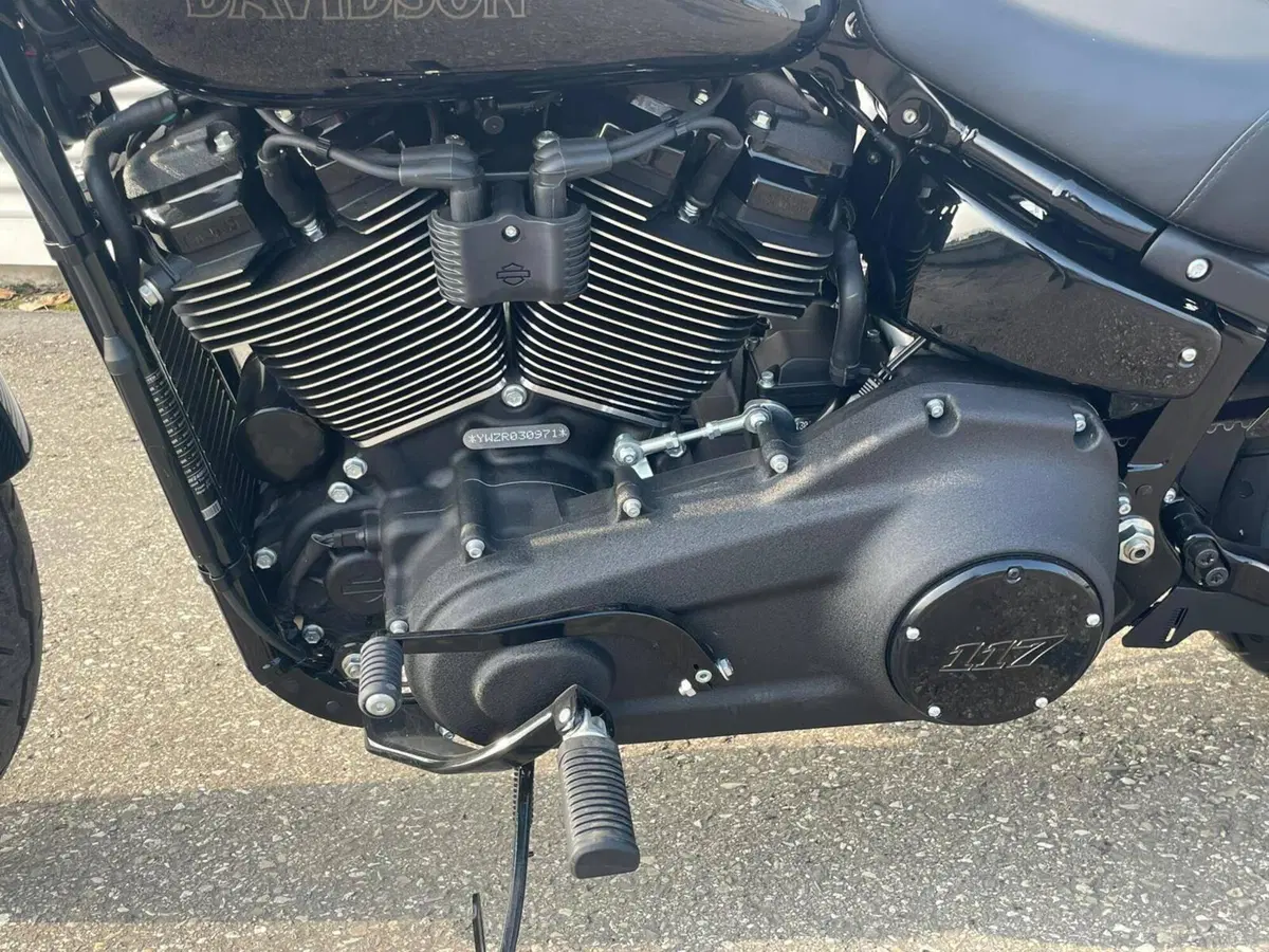 Harley-Davidson Low Rider S (2022 - 24) (10)