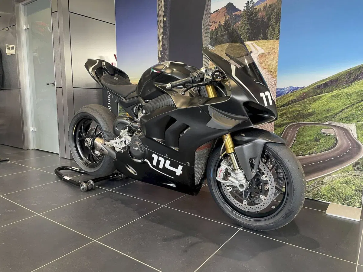 Ducati Panigale V4 R 1000 (2019 - 20) (3)