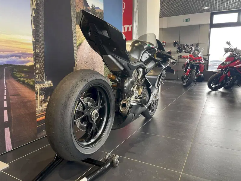Ducati Panigale V4 R 1000 (2019 - 20) (7)