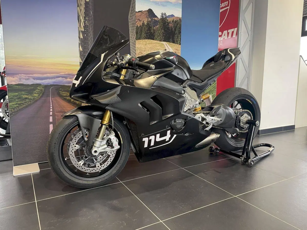 Ducati Panigale V4 R 1000 (2019 - 20) (16)