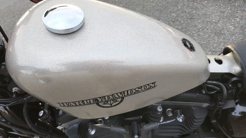 Harley-Davidson 1200 Forty-Eight (2010 - 15) (2)