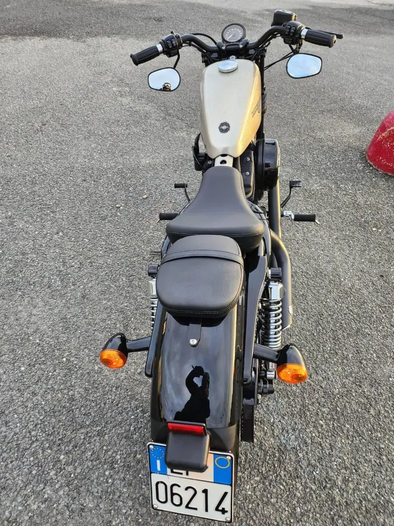 Harley-Davidson 1200 Forty-Eight (2010 - 15) (11)
