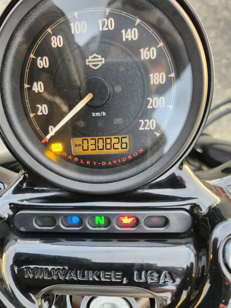 Harley-Davidson 1200 Forty-Eight (2010 - 15) (14)