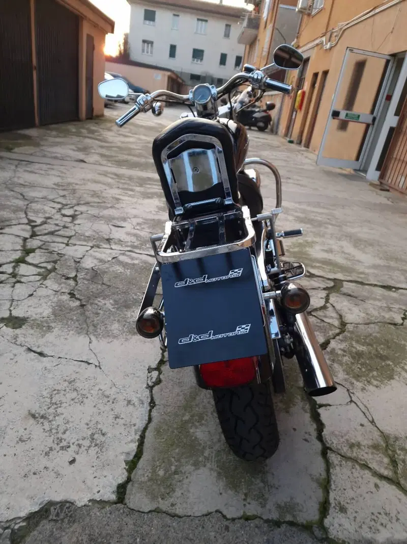 Harley-Davidson 1200 Custom (2007 - 13) - XL 1200C (7)