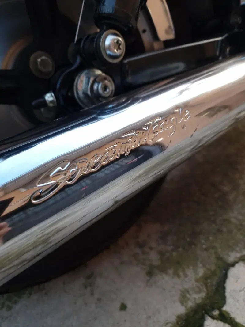 Harley-Davidson 1200 Custom (2007 - 13) - XL 1200C (11)