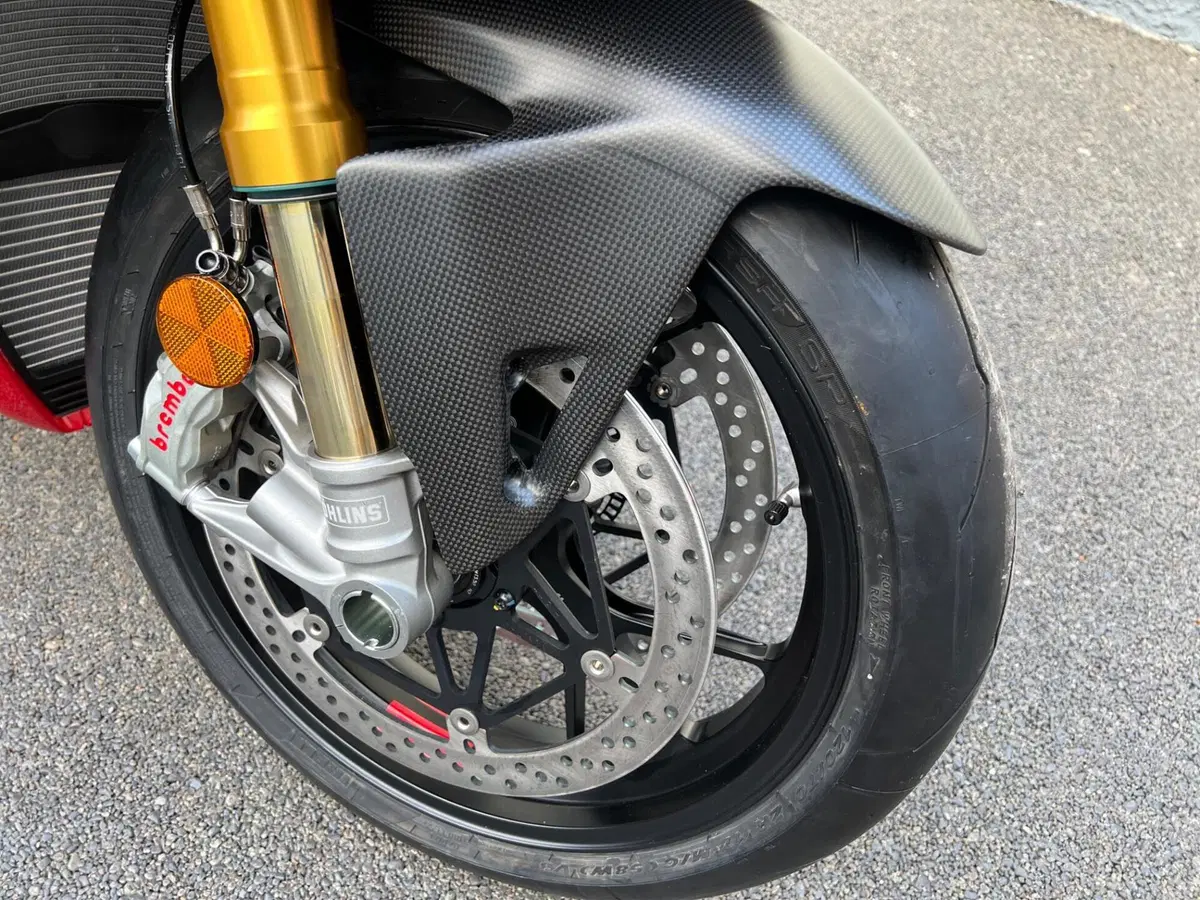 Ducati Panigale V4 R (2023 - 24) (18)