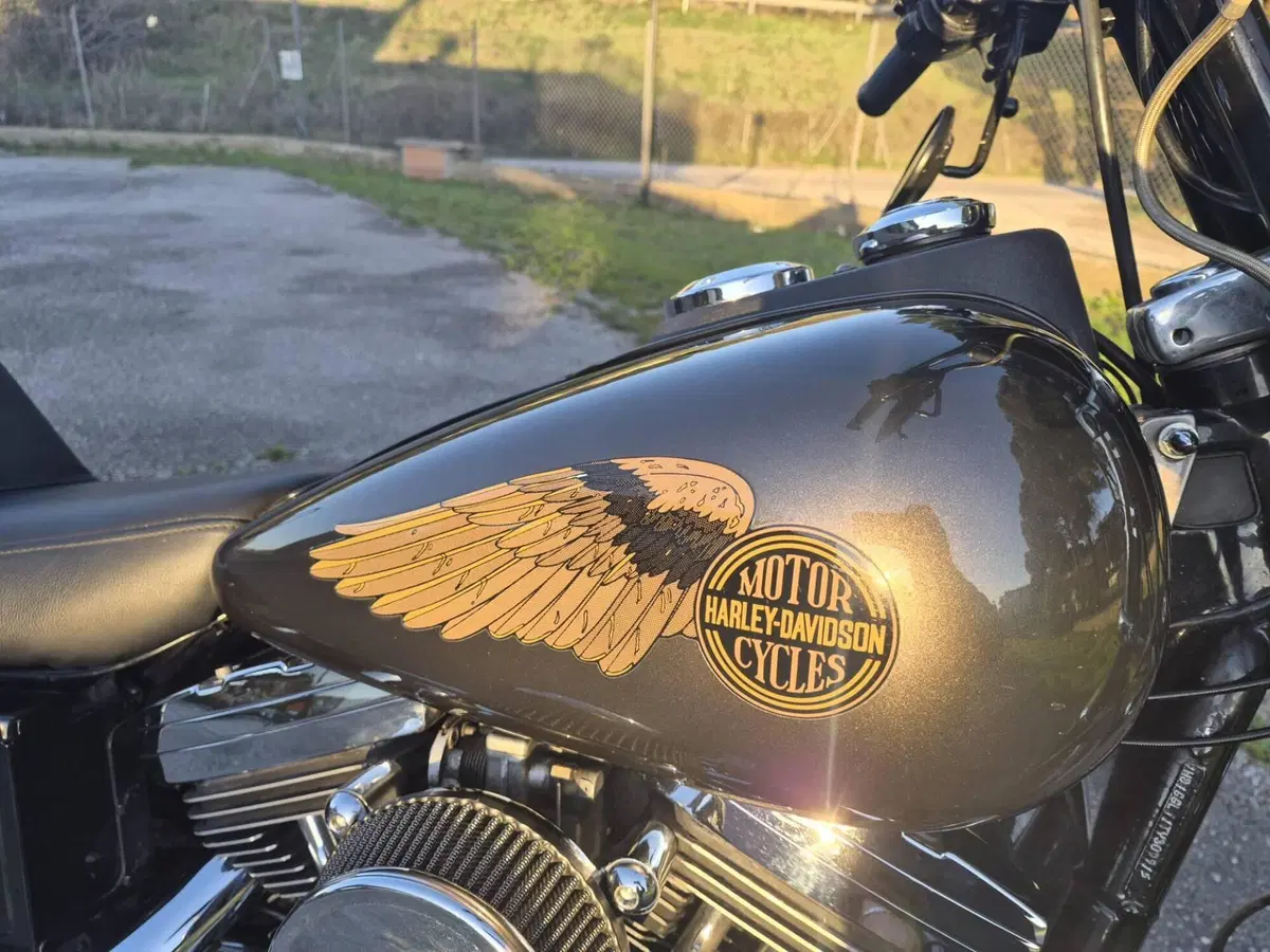 Harley-Davidson 1340 Low Rider Convertible (1994 - 99) - FRXC (2)