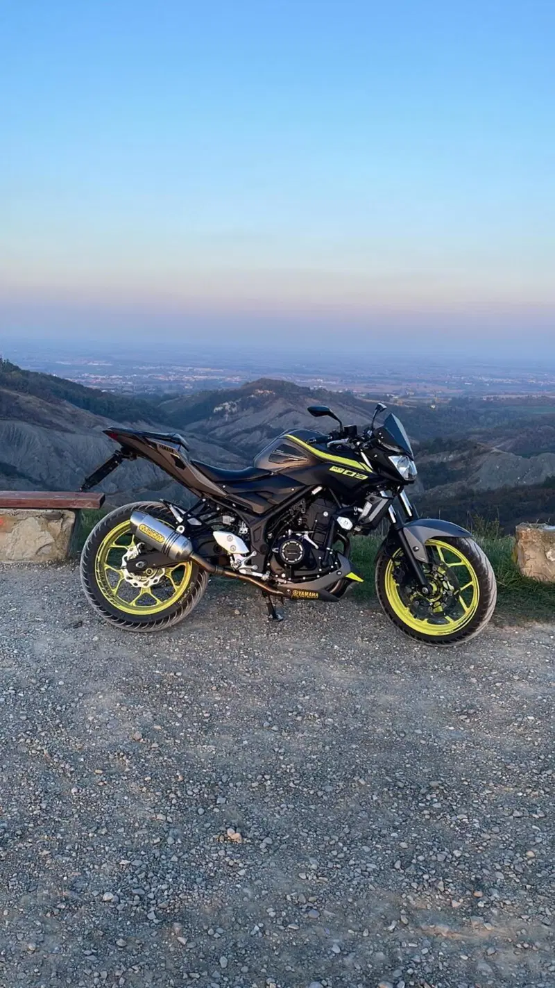 Yamaha MT-03 (2018 - 19) (3)