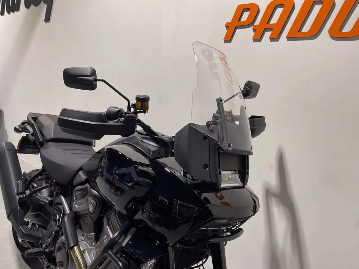 Harley-Davidson Pan America 1250 Special (2020 - 25) (5)