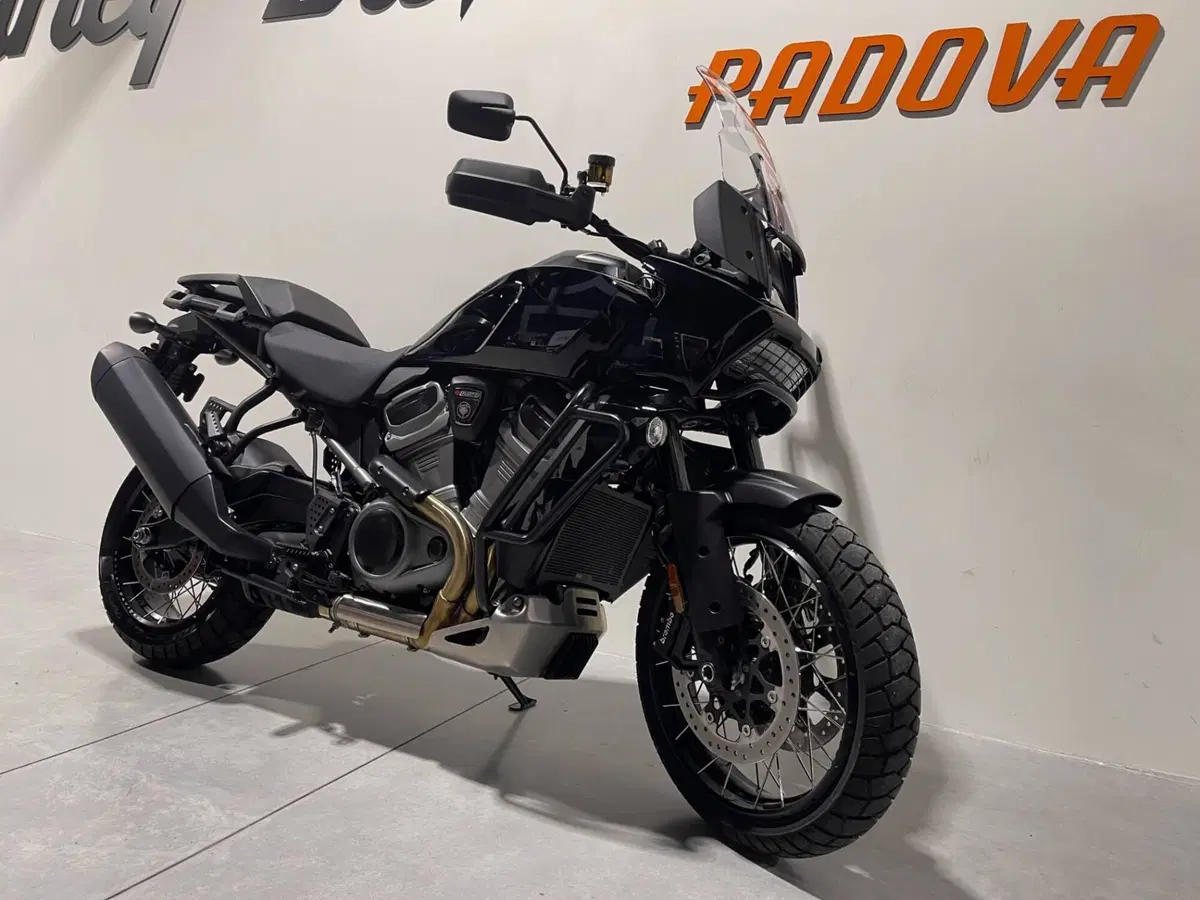 Harley-Davidson Pan America 1250 Special (2020 - 25) (6)