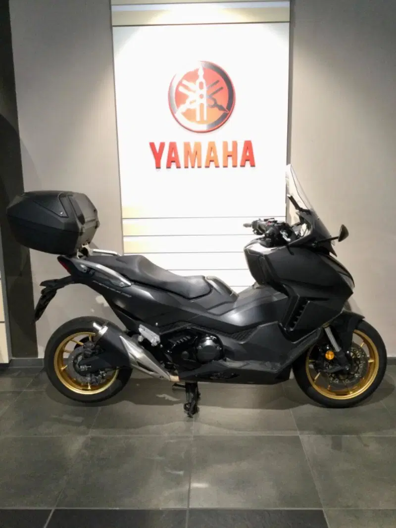 Honda Forza 750 DCT (2021 - 24)