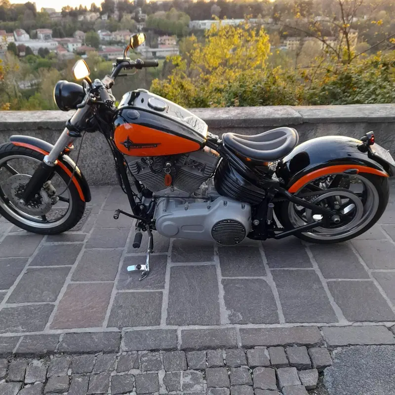 Harley-Davidson 1584 Rocker (2008 - 09) - FXCW (3)