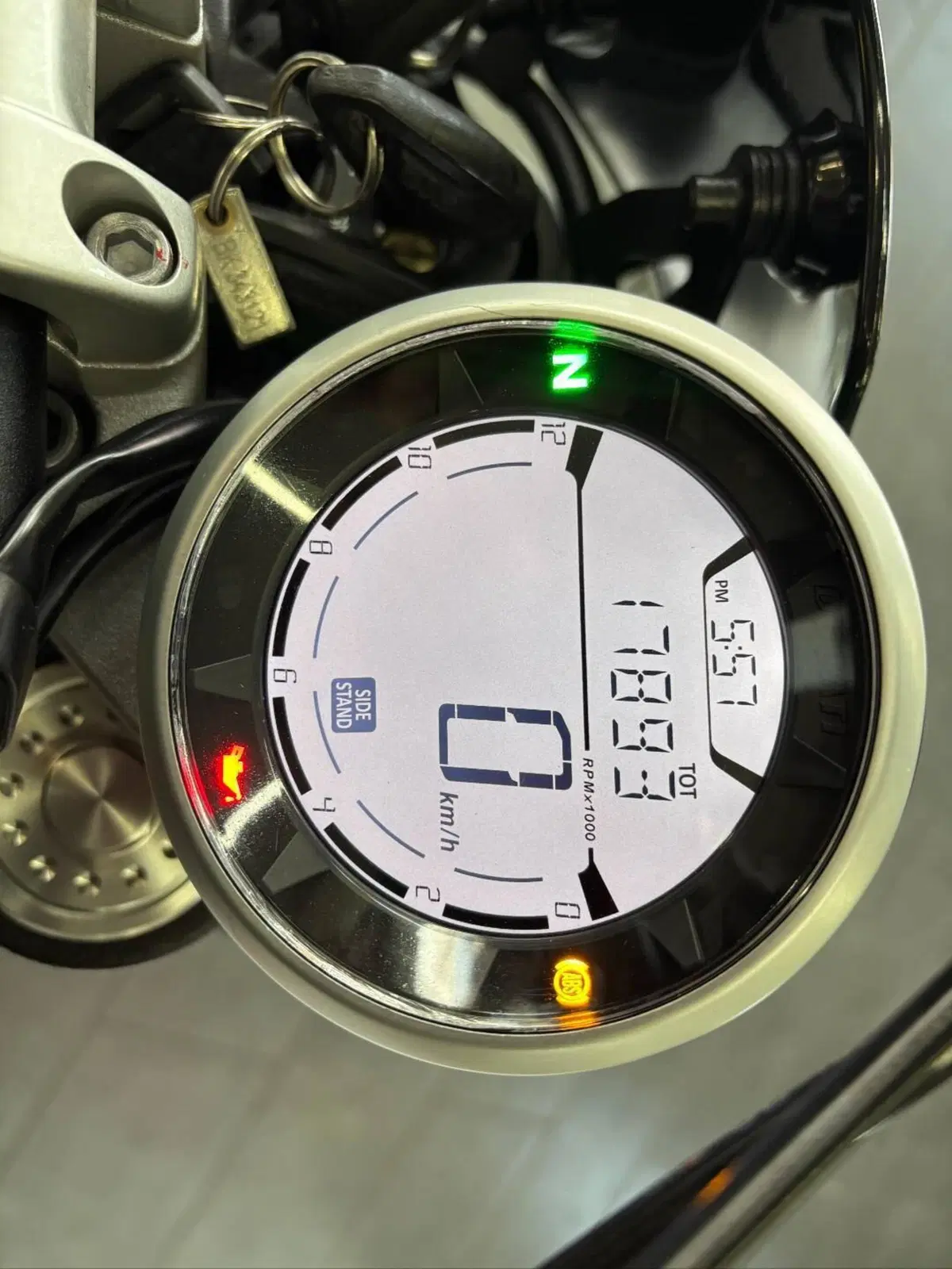 Ducati Scrambler 800 Icon (2017 - 20) (8)