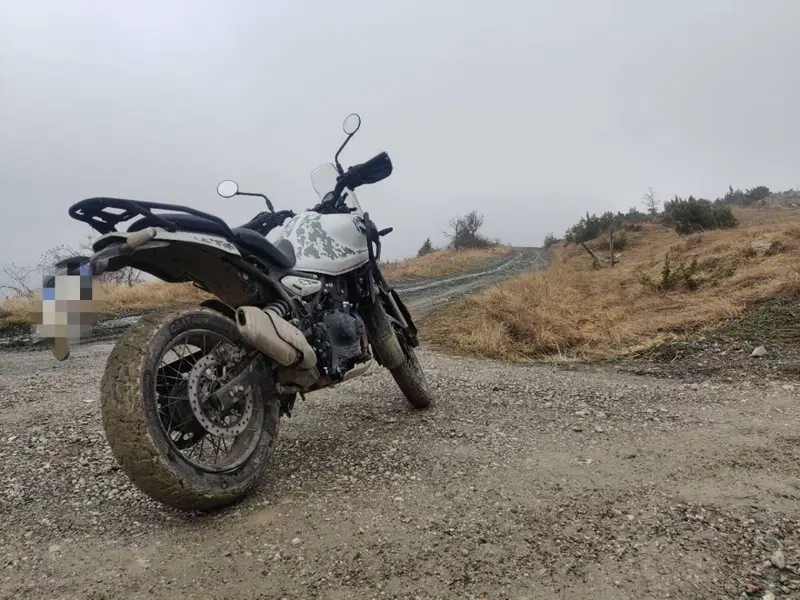 Royal Enfield Himalayan 450 Tubeless (2024 - 26) (3)