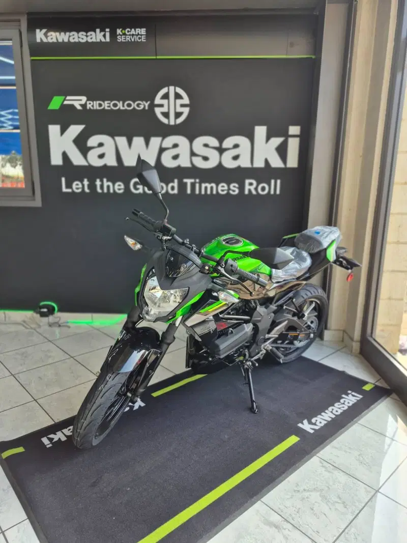 Kawasaki Z 125 (2025 - 26) (7)
