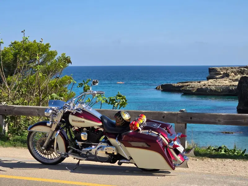 Harley-Davidson 103 Road King Classic (2011 - 13) - FLHRC (2)