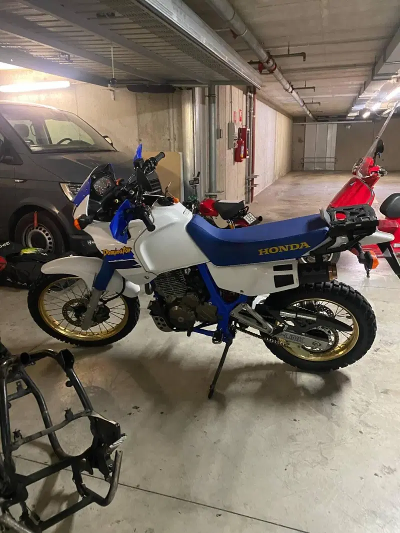 Honda dominator 650 (11)