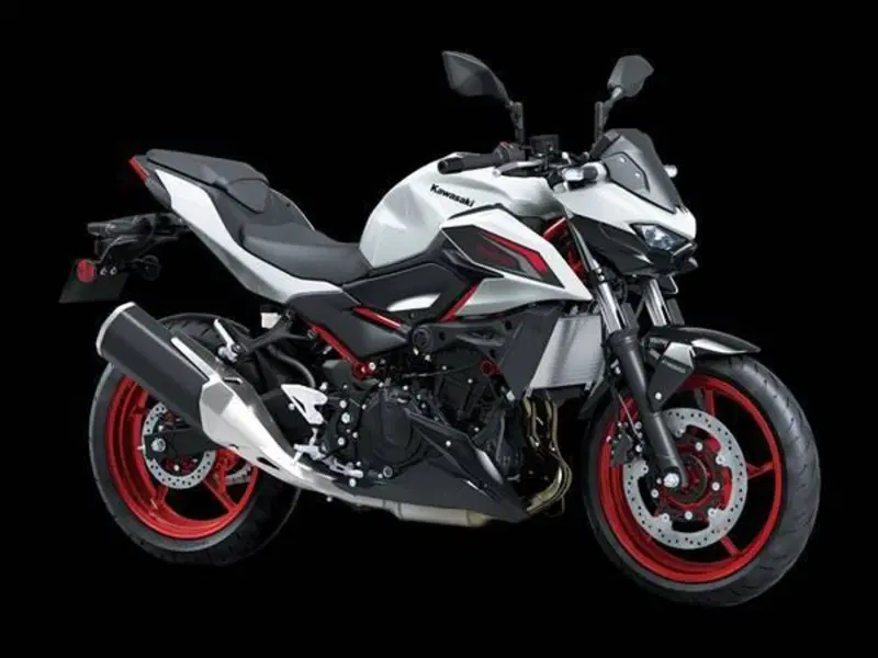 Kawasaki Z 500 SE (2024 - 26) (2)