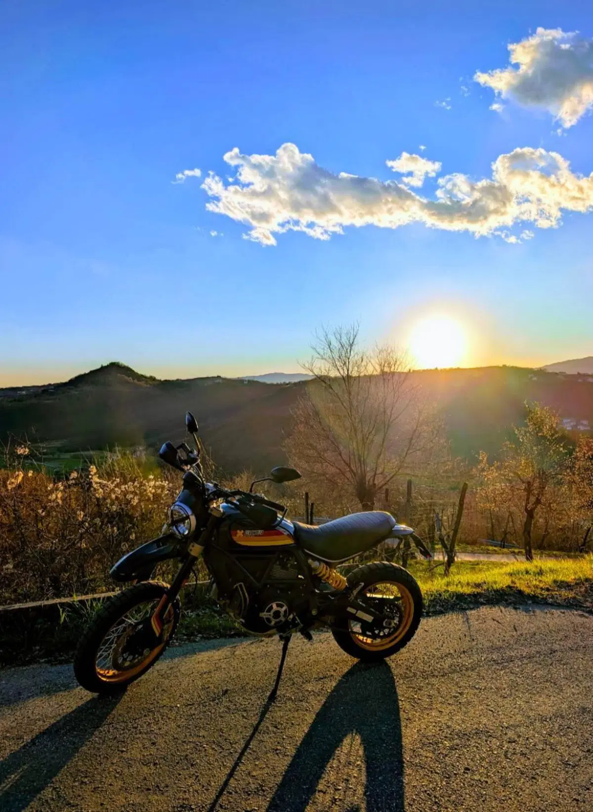 Ducati Scrambler 800 Desert Sled (2017 - 20)