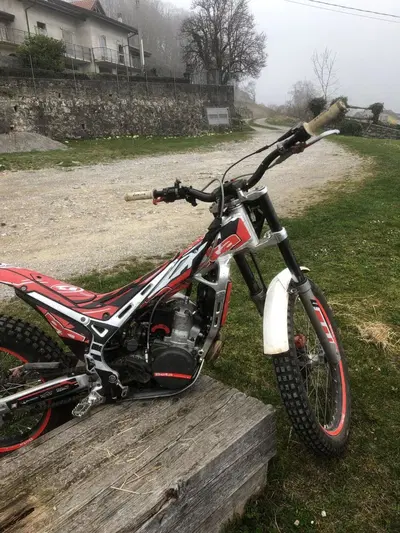 Betamotor Evo 290 2t (2008 - 09) usata