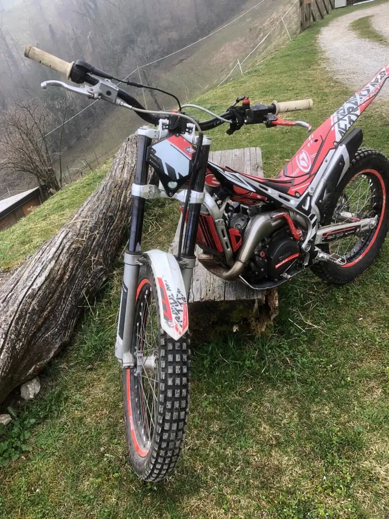 Betamotor Evo 290 2t (2008 - 09) (2)