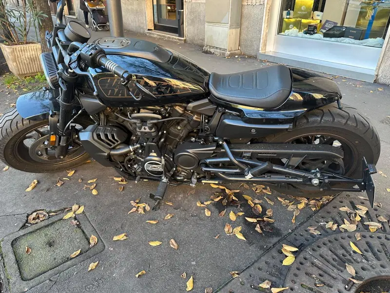Harley-Davidson Sportster S (2022 - 24) (2)