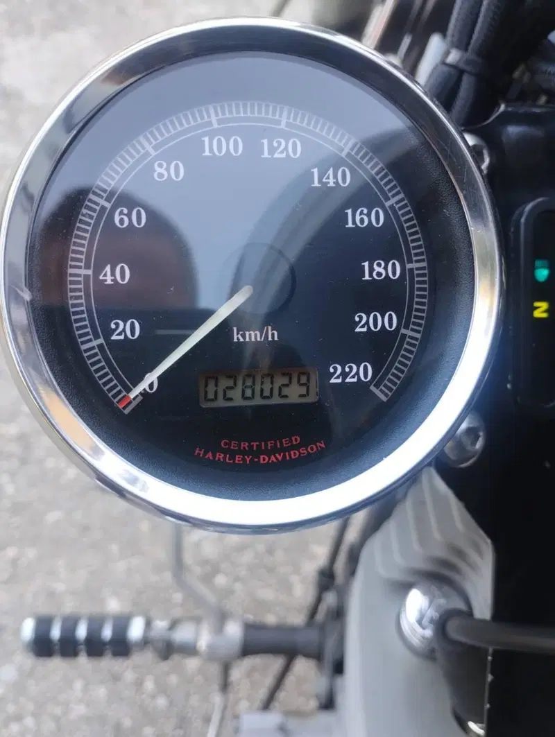 Harley-Davidson 883 Standard (2001 - 05) - XL 883 (2)