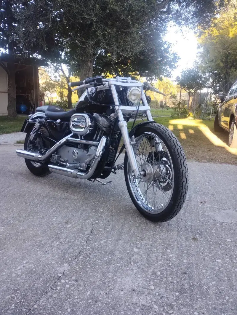 Harley-Davidson 883 Standard (2001 - 05) - XL 883 (4)