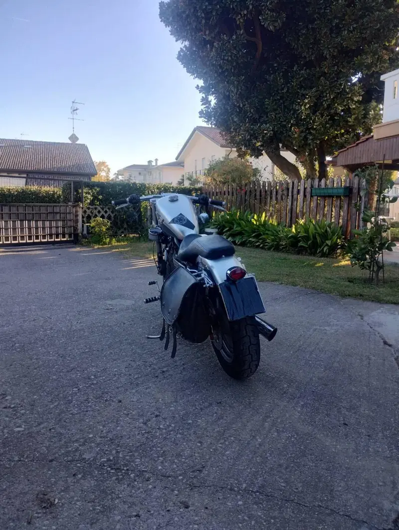 Harley-Davidson 883 Standard (2001 - 05) - XL 883 (6)