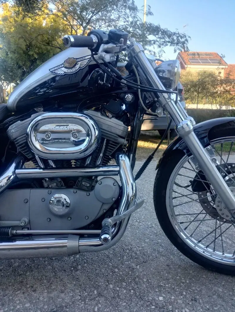 Harley-Davidson 883 Standard (2001 - 05) - XL 883 (7)