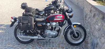 Kawasaki W 800 (2021 - 26) usata
