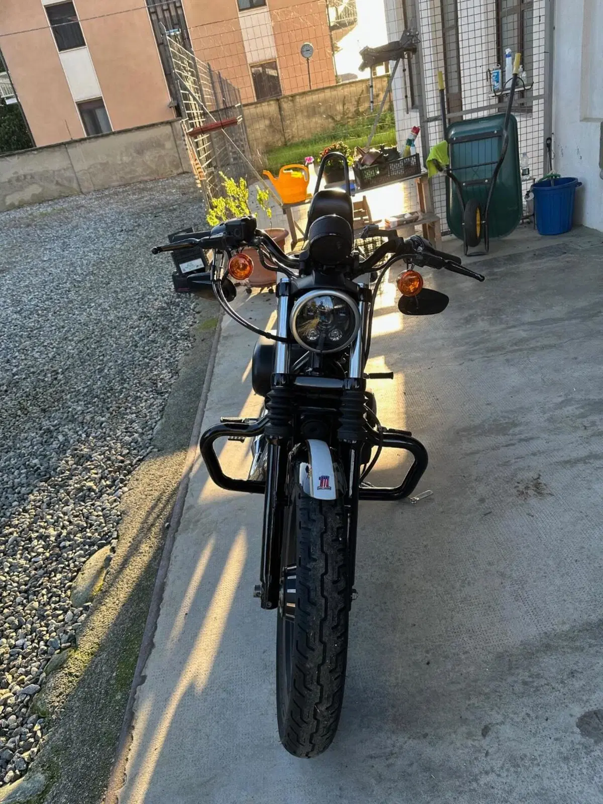 Harley-Davidson 883 Iron (2012 - 14) - XL 883N (3)