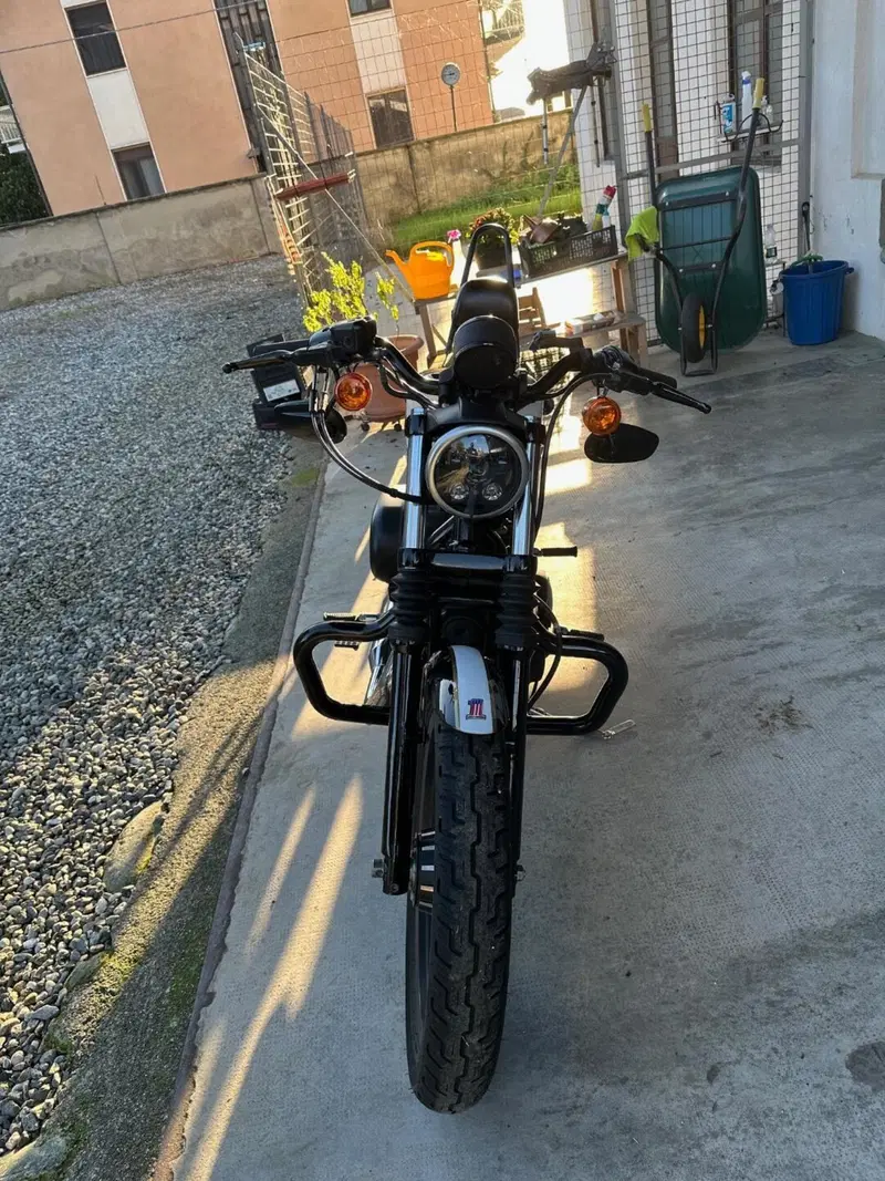 Harley-Davidson 883 Iron (2012 - 14) - XL 883N (3)