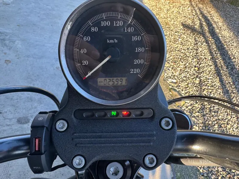 Harley-Davidson 883 Iron (2012 - 14) - XL 883N (6)