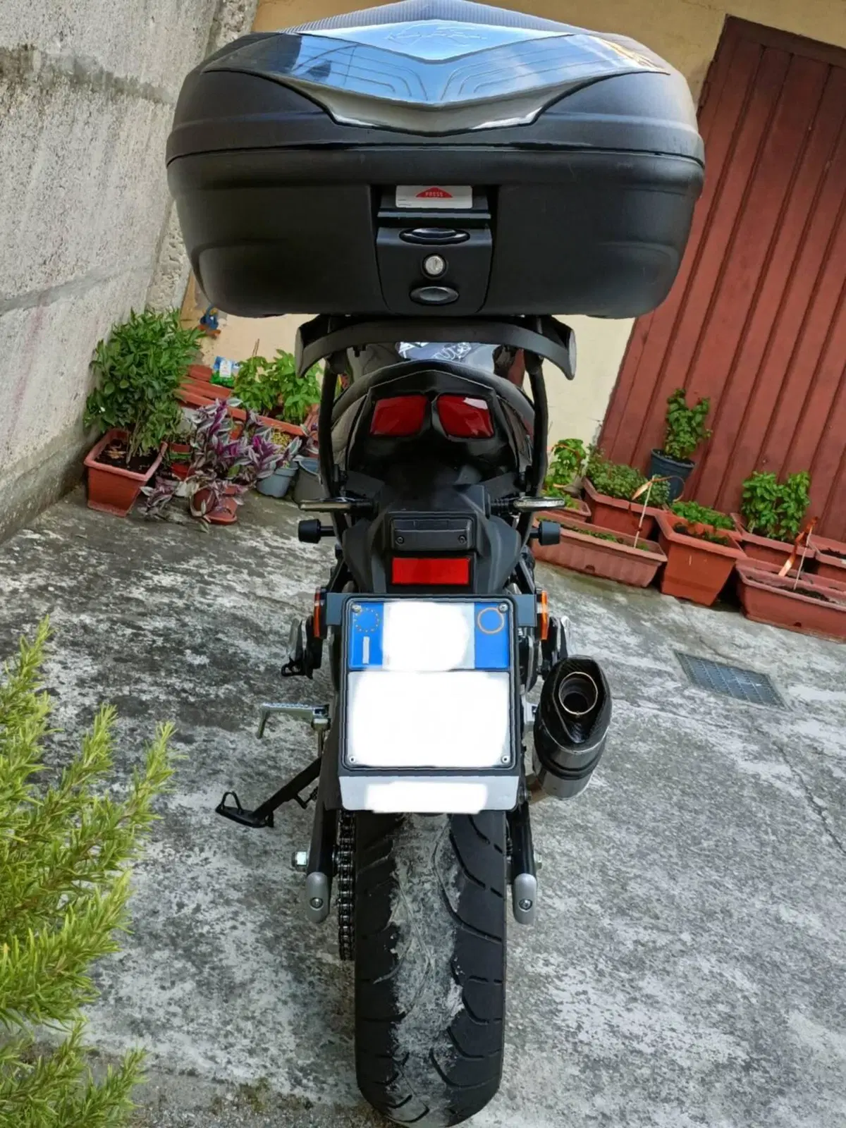 Suzuki SV650 (2021 - 24) (4)