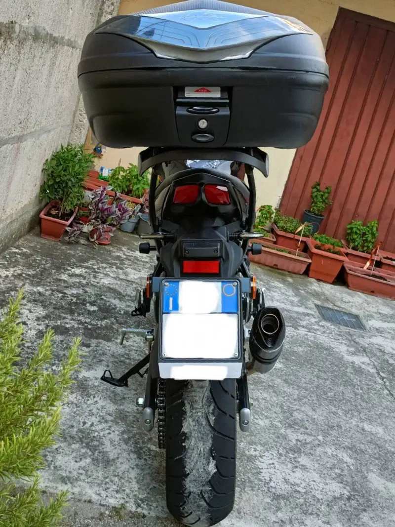 Suzuki SV650 (2021 - 24) (4)