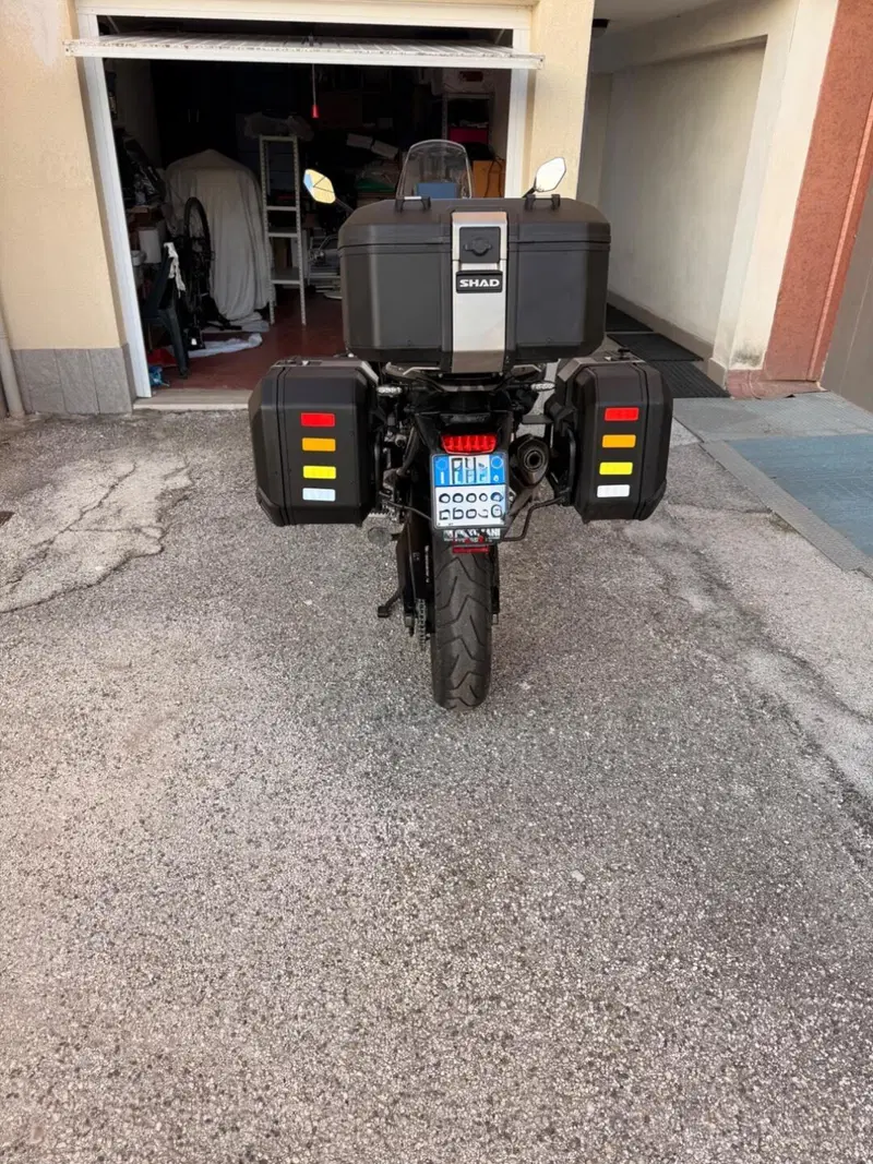 Triumph Tiger 900 Rally (2020 - 23) (7)