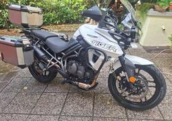 Triumph Tiger 800 XRx (2018 - 20) usata