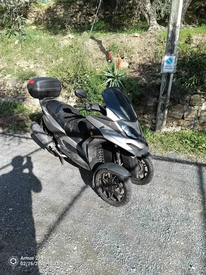 Quadro QV3 Edelweiss (2019)