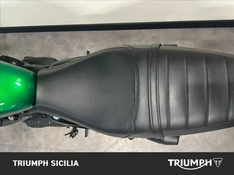 Triumph Speed Twin 900 Stealth Edition (2024) (15)