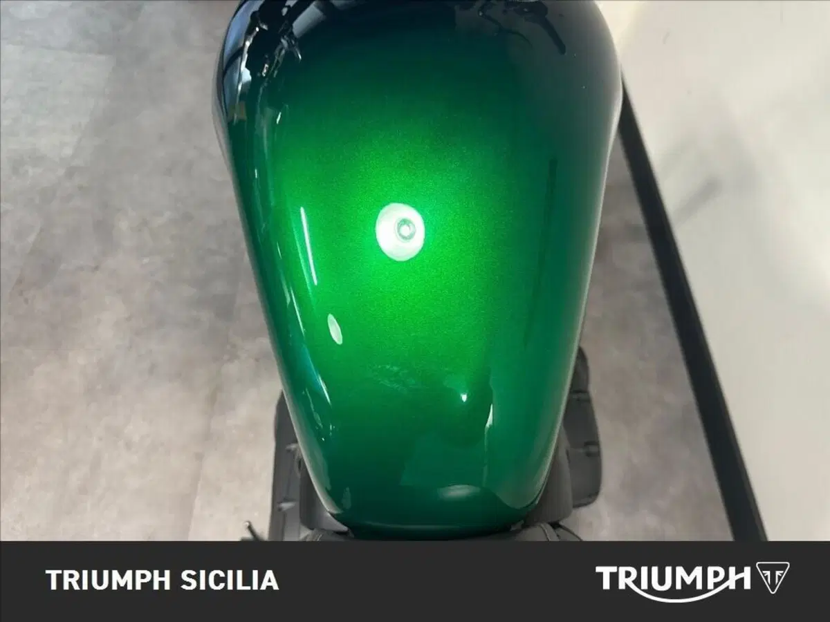 Triumph Speed Twin 900 Stealth Edition (2024) (20)