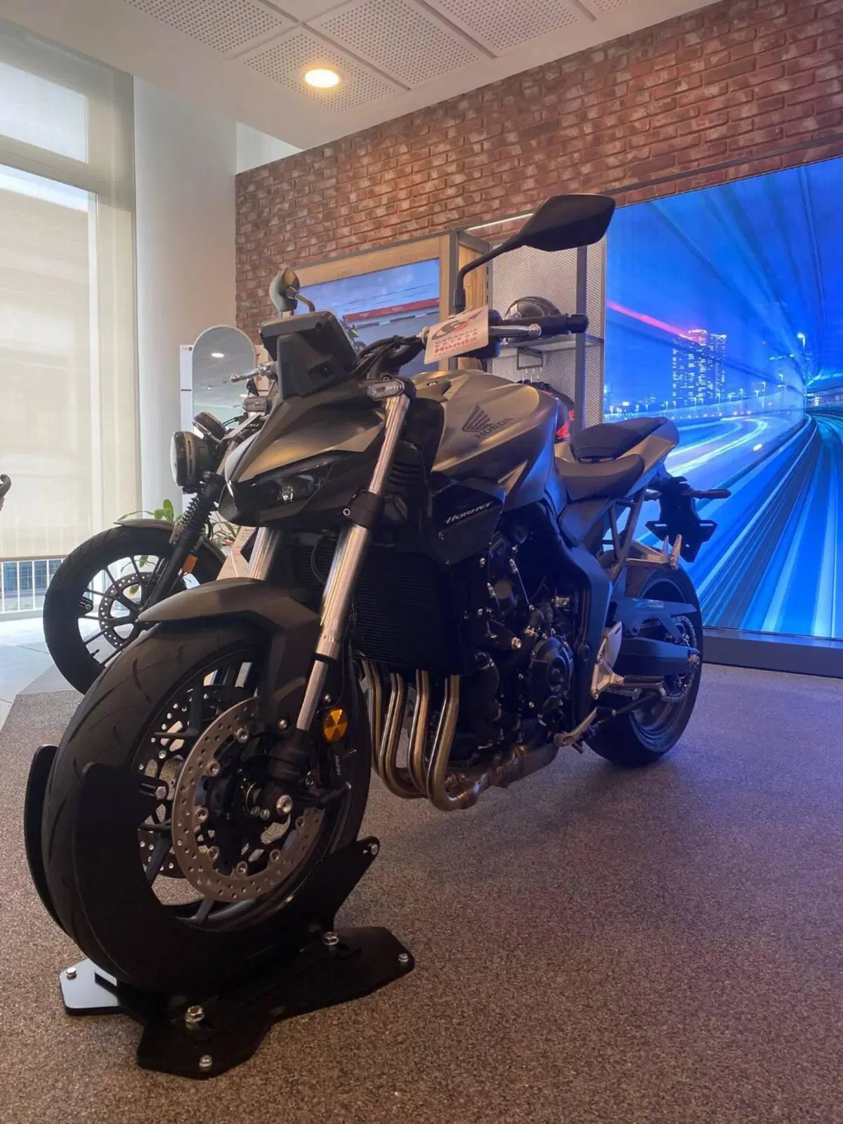 Honda CB 1000 Hornet (2025 - 26)