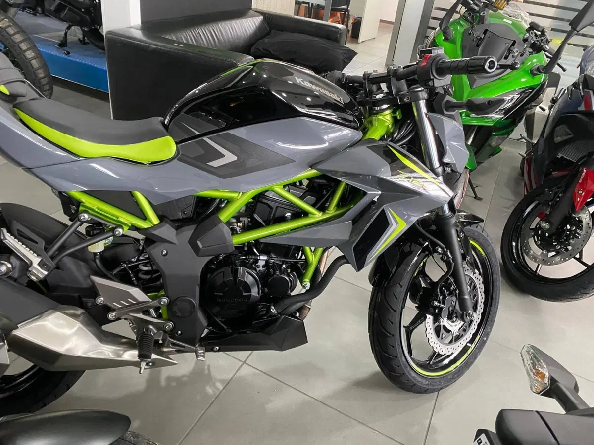 Kawasaki Z 125 (2025 - 26) (7)