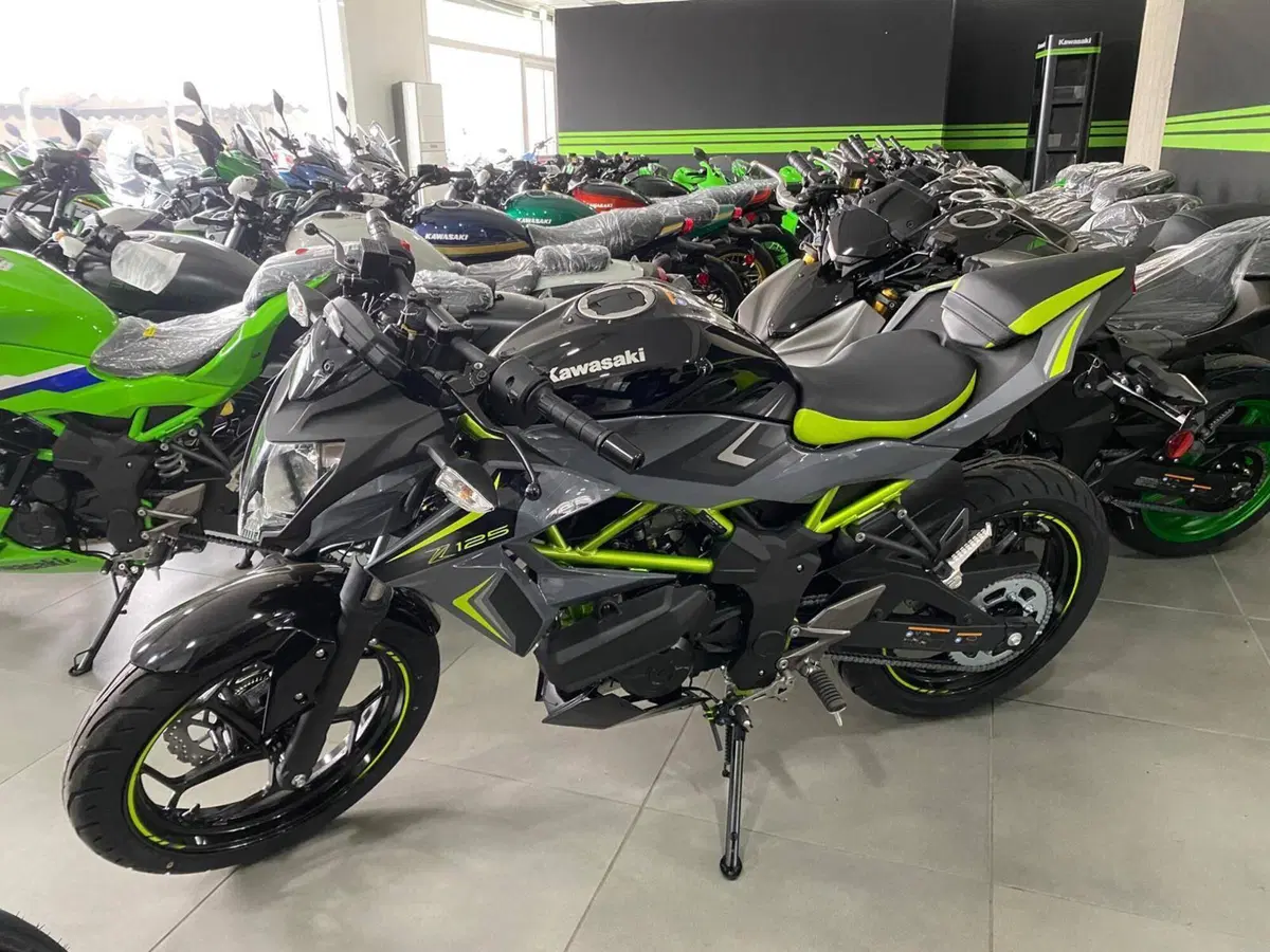 Kawasaki Z 125 (2025 - 26)