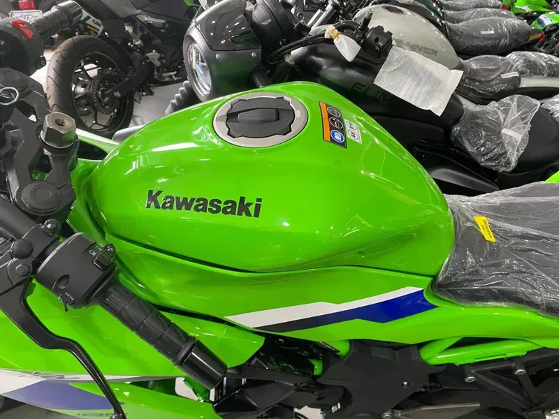 Kawasaki Ninja 125 (2025 - 26) (7)