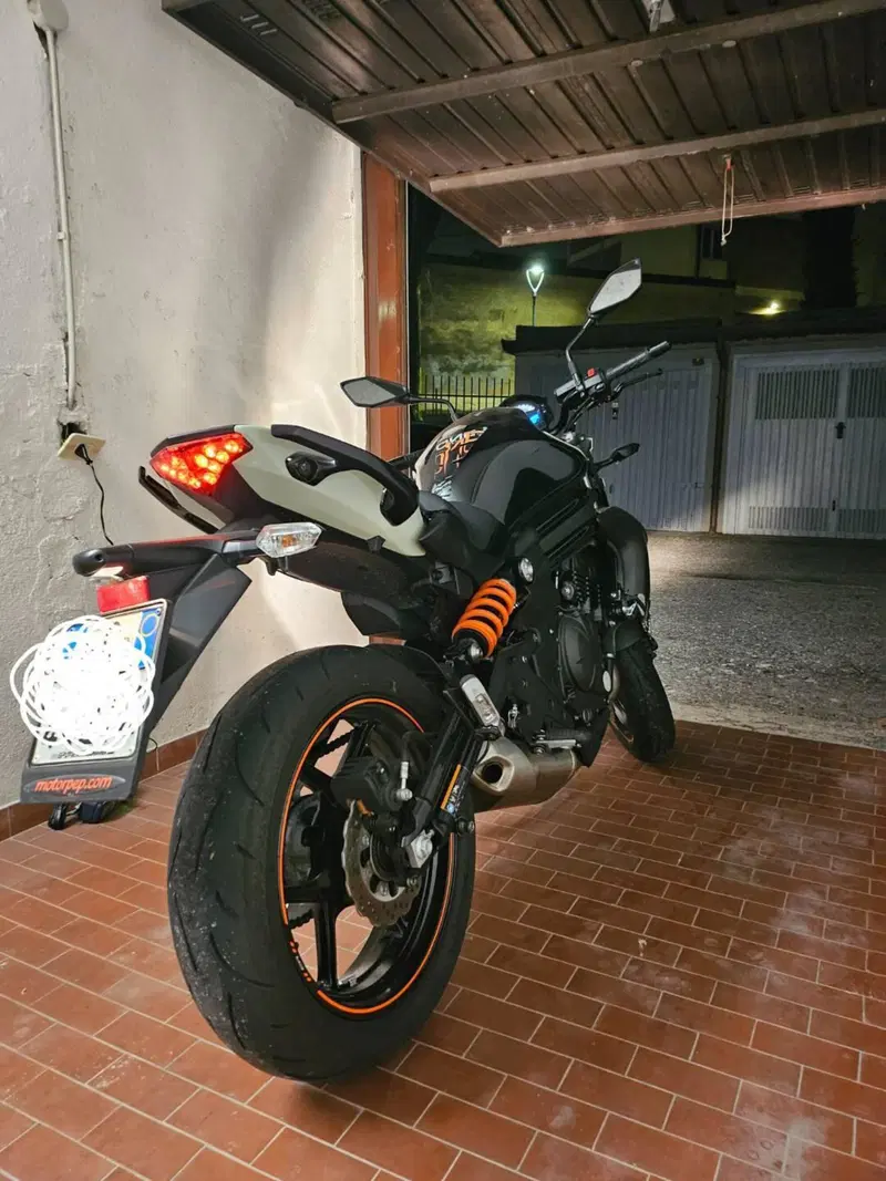 Kawasaki ER-6N ABS (2012 - 16) (2)