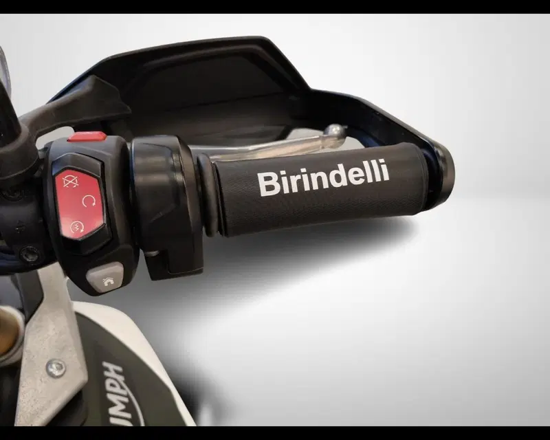 Triumph Tiger 900 Rally Pro (2020 - 23) (11)