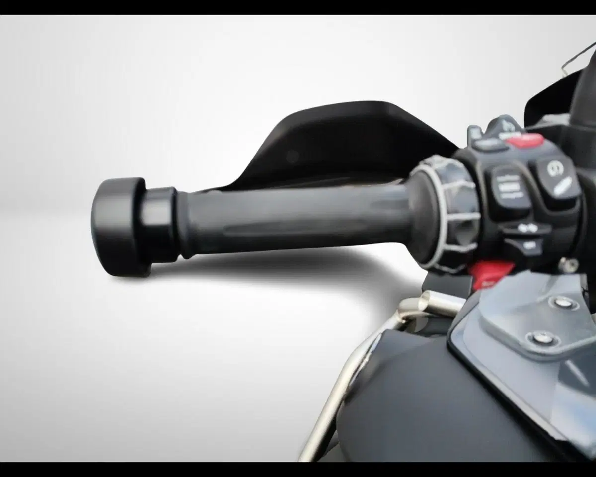 Bmw R 1250 GS Adventure (2021 - 24) (10)